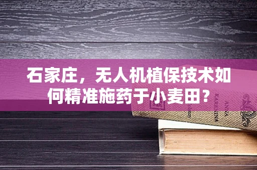石家庄，无人机植保技术如何精准施药于小麦田？
