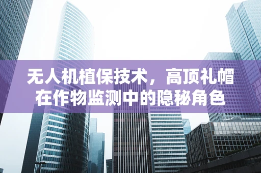 无人机植保技术，高顶礼帽在作物监测中的隐秘角色