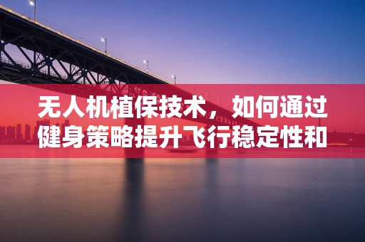 无人机植保技术，如何通过健身策略提升飞行稳定性和作业效率？