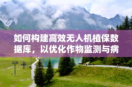 如何构建高效无人机植保数据库，以优化作物监测与病虫害防治？