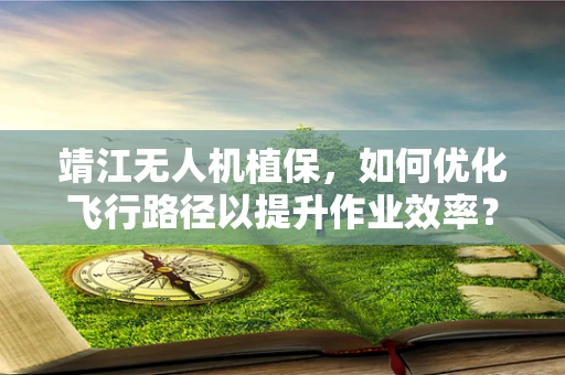 靖江无人机植保，如何优化飞行路径以提升作业效率？