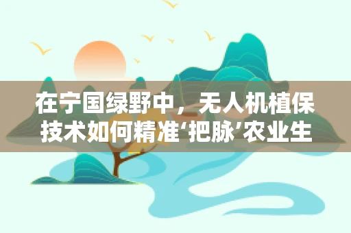 在宁国绿野中，无人机植保技术如何精准‘把脉’农业生态？