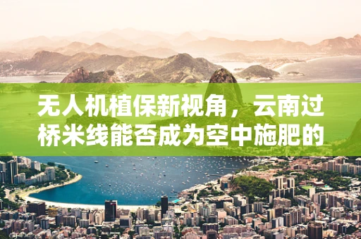 无人机植保新视角，云南过桥米线能否成为空中施肥的秘籍？