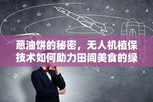 葱油饼的秘密，无人机植保技术如何助力田间美食的绿色守护？