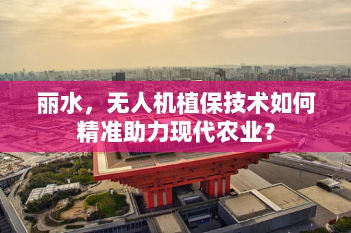丽水，无人机植保技术如何精准助力现代农业？