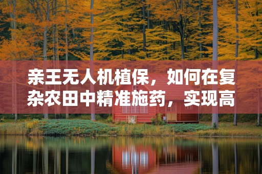 亲王无人机植保，如何在复杂农田中精准施药，实现高效与环保的双重飞跃？
