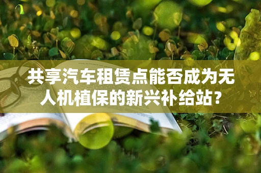 共享汽车租赁点能否成为无人机植保的新兴补给站？