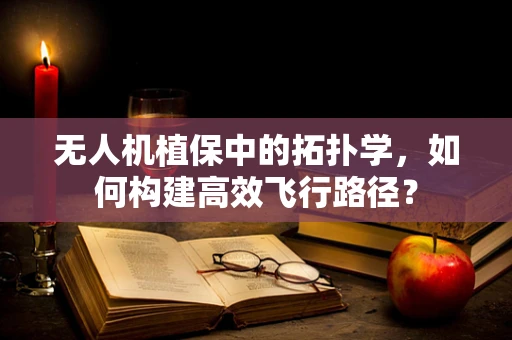 无人机植保中的拓扑学，如何构建高效飞行路径？