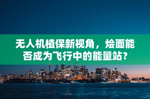 无人机植保新视角，烩面能否成为飞行中的能量站？