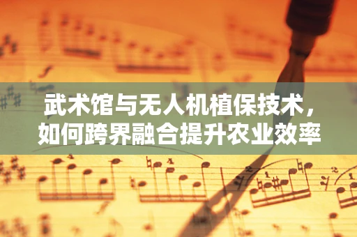 武术馆与无人机植保技术，如何跨界融合提升农业效率？