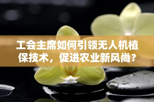 工会主席如何引领无人机植保技术，促进农业新风尚？