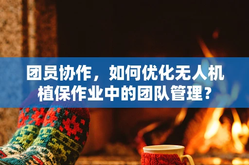 团员协作，如何优化无人机植保作业中的团队管理？