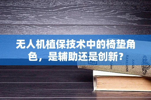 无人机植保技术中的椅垫角色，是辅助还是创新？