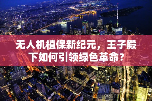 无人机植保新纪元，王子殿下如何引领绿色革命？
