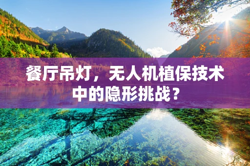 餐厅吊灯，无人机植保技术中的隐形挑战？