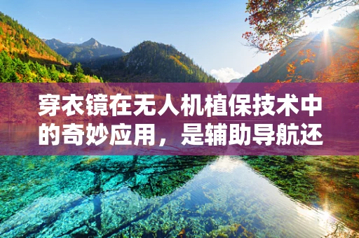 穿衣镜在无人机植保技术中的奇妙应用，是辅助导航还是视觉增强？