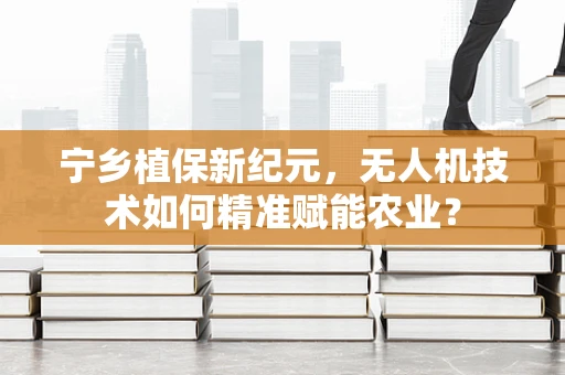 宁乡植保新纪元，无人机技术如何精准赋能农业？