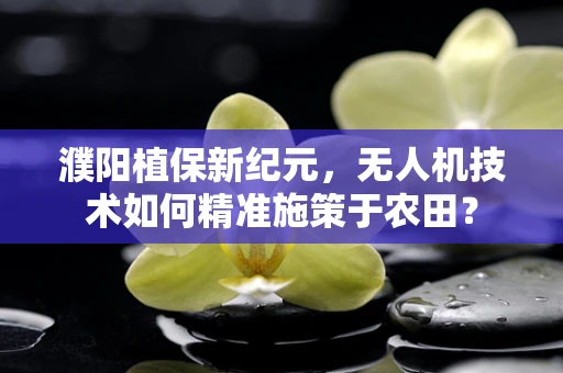 濮阳植保新纪元，无人机技术如何精准施策于农田？
