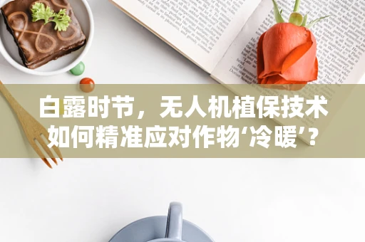 白露时节，无人机植保技术如何精准应对作物‘冷暖’？