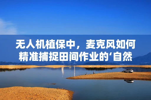 无人机植保中，麦克风如何精准捕捉田间作业的‘自然之声’？