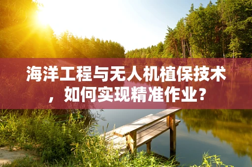 海洋工程与无人机植保技术，如何实现精准作业？