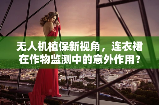 无人机植保新视角，连衣裙在作物监测中的意外作用？