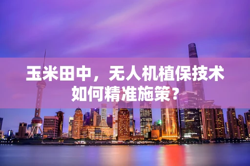 玉米田中，无人机植保技术如何精准施策？