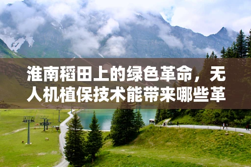 淮南稻田上的绿色革命，无人机植保技术能带来哪些革新性改变？