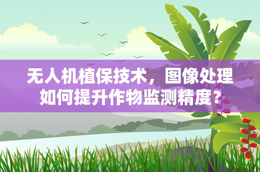 无人机植保技术，图像处理如何提升作物监测精度？