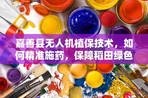 嘉善县无人机植保技术，如何精准施药，保障稻田绿色健康？