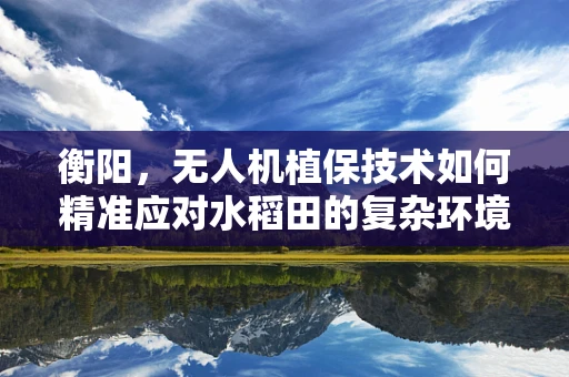 衡阳，无人机植保技术如何精准应对水稻田的复杂环境？