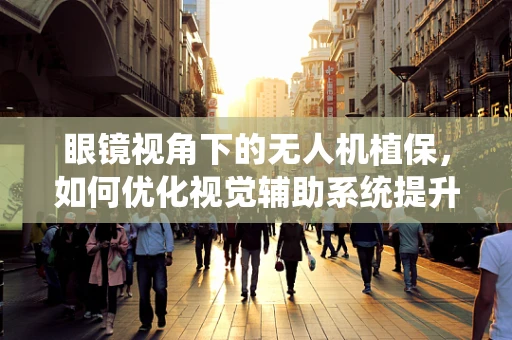 眼镜视角下的无人机植保，如何优化视觉辅助系统提升作业效率？
