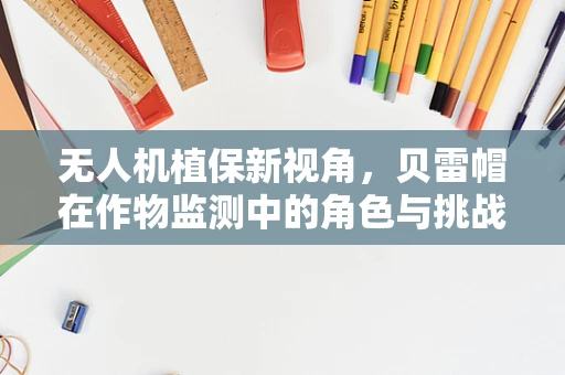 无人机植保新视角，贝雷帽在作物监测中的角色与挑战？