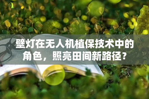 壁灯在无人机植保技术中的角色，照亮田间新路径？
