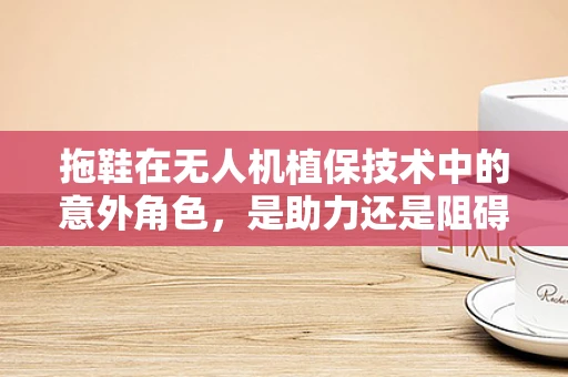 拖鞋在无人机植保技术中的意外角色，是助力还是阻碍？