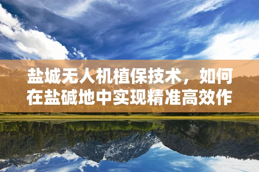 盐城无人机植保技术，如何在盐碱地中实现精准高效作业？