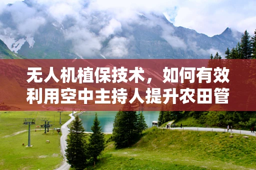 无人机植保技术，如何有效利用空中主持人提升农田管理效率？