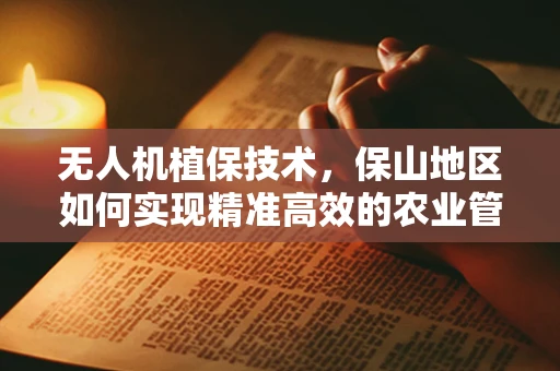 无人机植保技术，保山地区如何实现精准高效的农业管理？