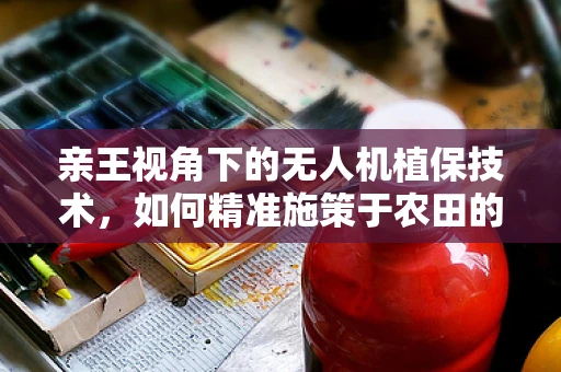 亲王视角下的无人机植保技术，如何精准施策于农田的空中医生？