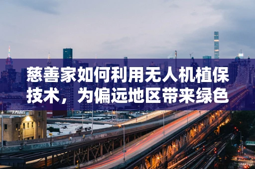 慈善家如何利用无人机植保技术，为偏远地区带来绿色希望？