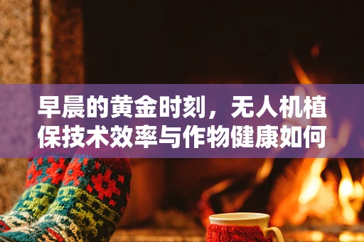 早晨的黄金时刻，无人机植保技术效率与作物健康如何平衡？