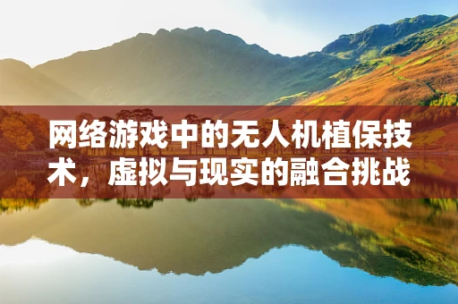 网络游戏中的无人机植保技术，虚拟与现实的融合挑战