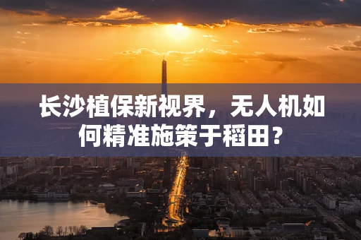 长沙植保新视界，无人机如何精准施策于稻田？