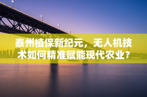 泰州植保新纪元，无人机技术如何精准赋能现代农业？