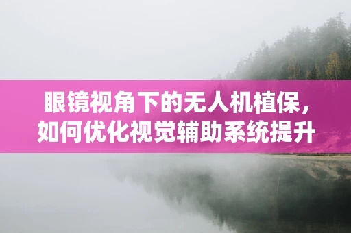 眼镜视角下的无人机植保，如何优化视觉辅助系统提升作业效率？