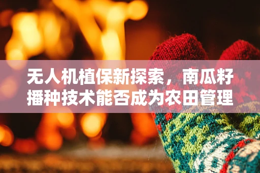 无人机植保新探索，南瓜籽播种技术能否成为农田管理的新宠？