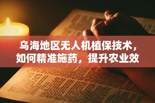 乌海地区无人机植保技术，如何精准施药，提升农业效率？