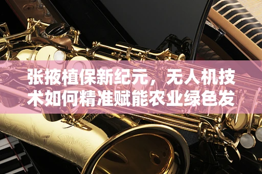 张掖植保新纪元，无人机技术如何精准赋能农业绿色发展？