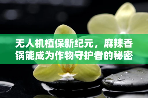 无人机植保新纪元，麻辣香锅能成为作物守护者的秘密武器吗？