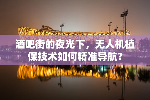 酒吧街的夜光下，无人机植保技术如何精准导航？